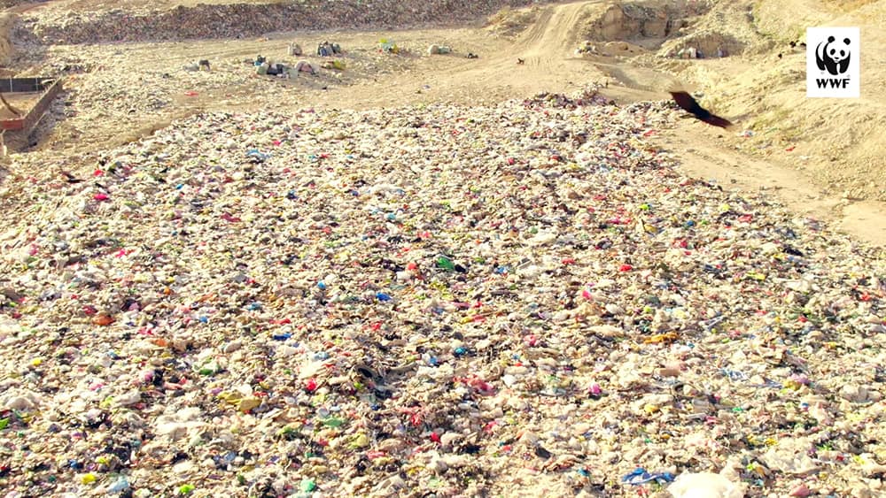 Restaurar el ecosistema en la quebrada Cabeza de Toro
